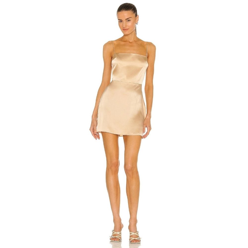 Amanda Uprichard Avani Dress in Earth XSmall Women's Mini Beige neutral Satin